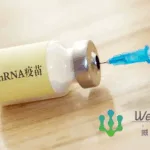 Westgene Partners with BGI Huo-Yan for mRNA Drug Development and Industrialization