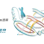 Tellgen Plans Acquisition of 82% Stake in Wuhan HealthCare Biotech for RMB 328 Million