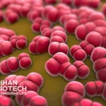 Qihan Biotech's QT-019B Gains FDA IND Approval for Autoimmune Diseases