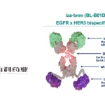 Sichuan Biokin's Iza-Bren Granted FDA Breakthrough Therapy Designation for NSCLC