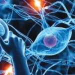 Skyhawk Therapeutics Collaborates with Merck on RNA-Targeting Small Molecules for Neurological Diseases