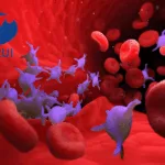 Hengrui Pharma's Hetrombopag Olamine Accepted by NMPA for Chemotherapy-Induced Thrombocytopenia