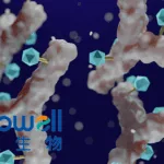 Mabwell's Innovative CDH17-Targeted ADC 7MW4911 Receives FDA Clinical Trial Approval