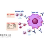 Sino Biopharm's LM-302 Shows Promising Results in Phase III Trials for Gastric Cancer