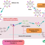 Simcere Secures NMPA Approval for Deunoxavir Marboxil, First Pediatric Influenza Drug