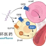 Sihuan Pharma Secures IND for Dual‑Target GLP‑1/GCGR Drug P052 Injection