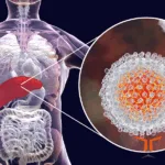 Lion TCR Secures FDA Approval for LioCyx‑M004, Launching Phase Ib/II Trial in Chronic Hepatitis B
