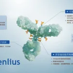 Shanghai Henlius Biotech Negotiates Potential Sale of HLX43 ADC to Johnson & Johnson and Roche