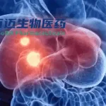 Suzhou‑Based InnoBM Partners with Qilu Pharmaceutical on BM601 Metallic Embolic Microsphere