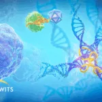 Hisun Pharma Secures China Rights to Ascentawits’ First‑In‑Class Drug AST‑3424