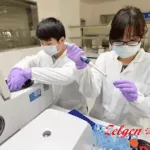 Suzhou Zelgen Secures NMPA Approval for ZGGS34 TriTEs Targeting MUC17‑Positive Solid Tumors