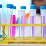 Roche’s giredestrant Yields Positive PFS Results in evERA Phase III Study