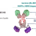Sichuan Biokin’s SystImmune Receives $250 Million Triggered by Phase 2/3 Milestone in EGFR×HER3 ADC