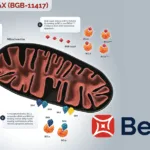 BeOne Medicines Receives FDA Breakthrough Therapy Designation for Sonrotoclax in Relapsed Mantle Cell Lymphoma