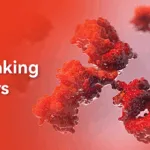 Mabwell Bioscience Receives NMPA IND Approval for 7MW4911 CDH17‑Targeting ADC in Advanced Solid Tumors