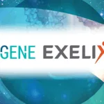 Adagene Expands Exelixis Collaboration to Include Third Target Using SAFEbody Technology