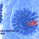 Kelun-Biotech's Trastuzumab Botidotin Approved by NMPA for HER2-Positive Breast Cancer