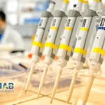 I‑Mab Announces Global Transformation, NovaBridge Rebranding, and $37 M Acquisition of VIS‑101