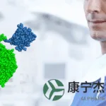 Alphamab Oncology Announces Interim Phase III Results for Anbenitamab in HER2‑Positive Gastric Cancer