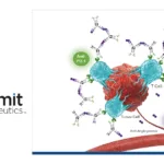 Summit Therapeutics Plans U.S. FDA BLA Submission for Ivonescimab + Chemotherapy in EGFR‑Mutated NSCLC