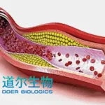Huadong Medicine Secures FDA Approval for DR10624, First‑In‑Class Trispecific Agonist for Severe Hypertriglyceridemia