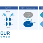 Harbour BioMed Reports Phase II Success of Porustobart in MSS mCRC