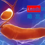 Nanjing Leads Biolabs Announces First‑Patient Dose of LBL‑024, a Novel Bispecific Antibody for Biliary Tract Cancer