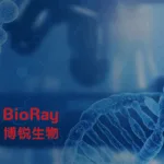 BioRay Pharmaceutical Co., Ltd. Signs MENA‑Wide Licensing Deal With Saudi Tabuk Pharmaceutical Manufacturing