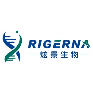 Explore the latest insights on Rigerna Therapeutics and its impact on China's pharmaceutical industry. Fineline Info & Tech delivers reliable data, news, and intelligence to help you navigate the complexities of Rigerna Therapeutics' developments with precision and clarity. Stay informed and enhance your decision-making at flcube.com.
