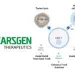 CARsgen Therapeutics Shares Promising Early Results for Allogeneic CAR‑T Products