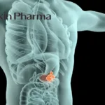 Sichuan Biokin Secures Breakthrough Therapy Designation for HER2‑Targeted ADC T‑Bren