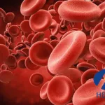 Jiangsu Hengrui Secures Priority Review for HRS‑5965 in China’s Rare‑Disease Portfolio