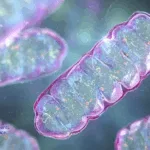 UCB Wins FDA Approval for KYGEVVI in Rare Mitochondrial Disease TK2d