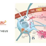 Sinotau Receives FDA NDA Approval for MK‑6240 Tau PET Imaging Agent