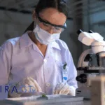 MeiraGTx Grants Eli Lilly Worldwide Rights to AAV‑AIPL1 Gene Therapy for LCA4