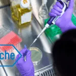 Roche Announces Positive Phase III Results for Fenebrutinib in Relapsing & Primary‑Progressive Multiple Sclerosis