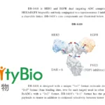 DualityBio Secures FDA Fast‑Track Designation for EGFR/HER3 Bispecific ADC AVZO‑1418