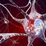 Akeso Secures NMPA Approval for AK152 – First Bispecific Antibody Targeting Alzheimer’s in China