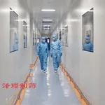 Suzhou Zelgen Biopharma to Deregister U.S. Subsidiary Gensun to Sharpen R&D Focus