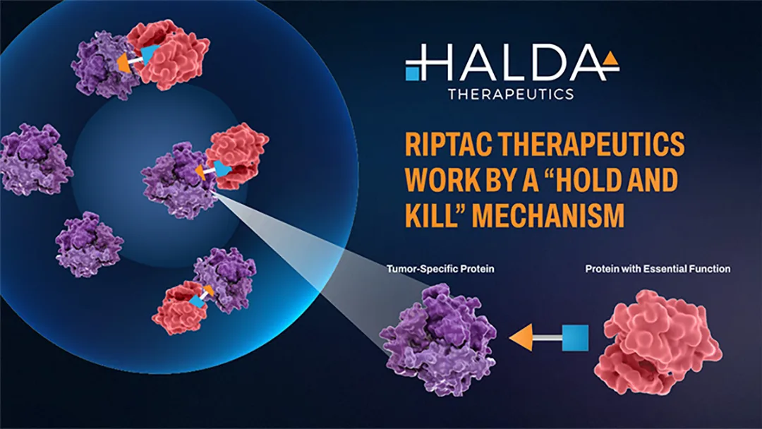 Johnson Johnson To Acquire Halda Therapeutics For 3 05 B Deal 