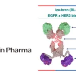 Biokin's iza-bren ADC Achieves Dual PFS & OS Endpoints in Phase 3 Esophageal Cancer, a Global First