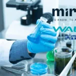 Mirxes and Walvax Form RNA Partnership for Vaccines and Precision Medicine