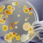 GenSci's GenSci142 Wins NMPA Nod for Bacterial Vaginosis Clinical Trials