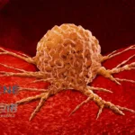 Imugene and JW Therapeutics Partner to Evaluate onCARlytics CAR‑T Combination for Advanced Solid Tumors