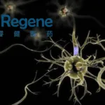 iRegene's NouvNeu004 Wins FDA Special Exemption for MSA Cell Therapy