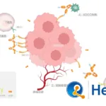 Henlius HLX37 Bispecific NMPA Approval Targets Advanced Solid Tumors