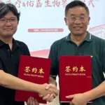 Youjia-Bio Tongee-Medical Nucleic-Acid-Drug Partnership Targets Diabetes