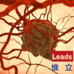 Leads-Biolabs LBL-034 Multiple-Myeloma ASH Data Shows 82% ORR