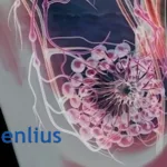 Shanghai Henlius Secures NMPA Approval for Phase II/III HLX22 HER2 Trials, Pioneering Novel Epitope ADC Combination in Breast Cancer