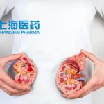 Shanghai Pharma’s SPH3127 Renin Inhibitor Wins NMPA Approval for Primary Hypertension